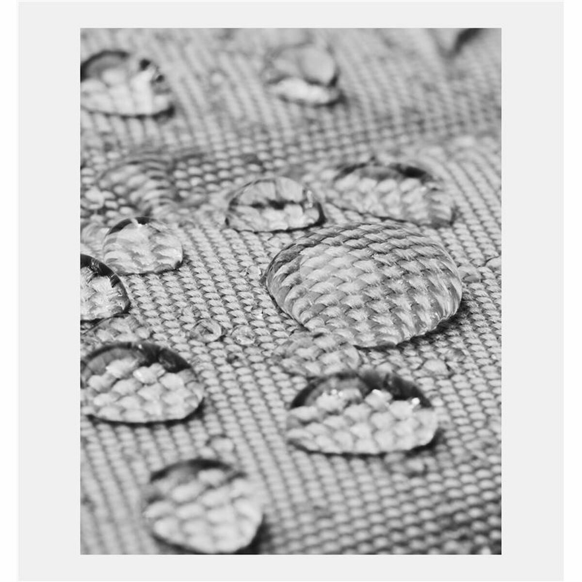 V3H03CC705CE64677B3B5D40F2B07CD737AR6052018P7