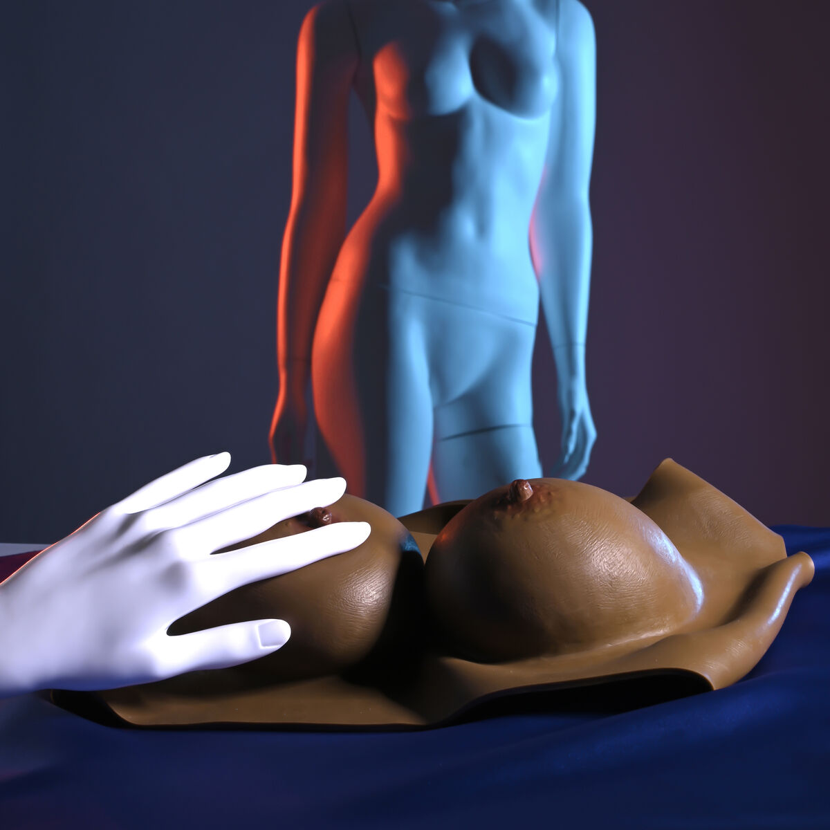 V6H986CF1491F6ECC735B7CA40F8FB236D5R7245805P6