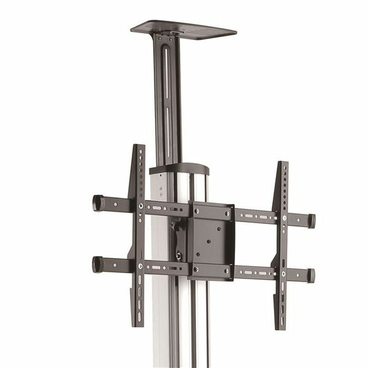 V8H6DB474305C4E3F0541A02FF4BF0BFB17R3685502P2