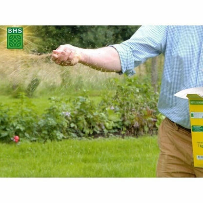 V4H29E8ACD48A359F987F31580A71EF40CER7405518P6