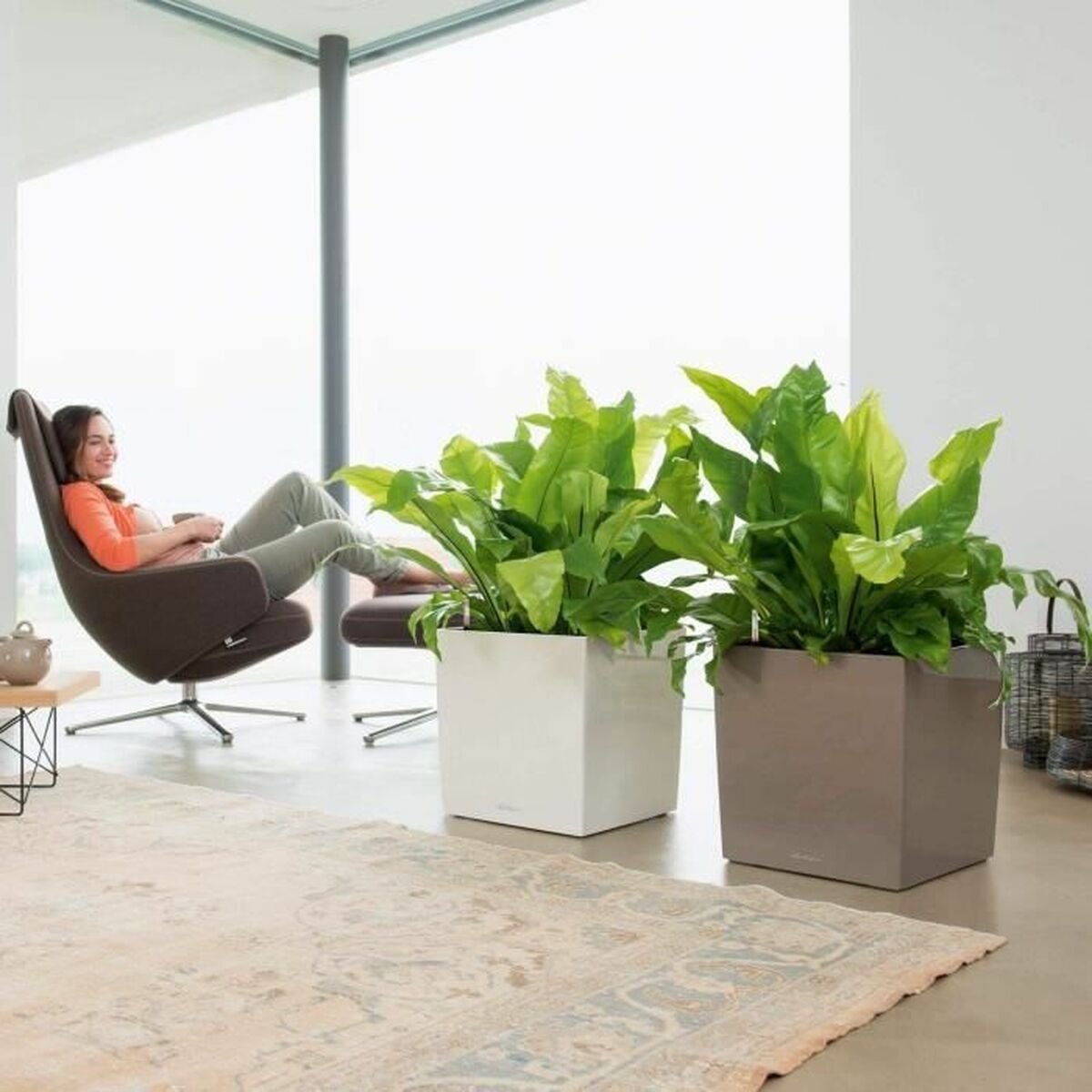 V5H86EE74282AA9B715E8D349C6E81B52A0R7370381P4