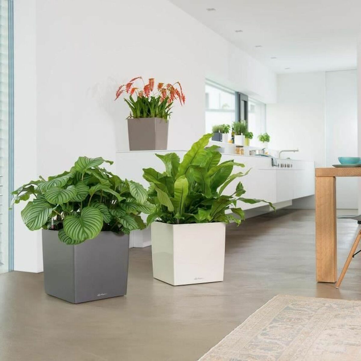 V5H9509AB94FBB791FBC75F4EDB49962CC7R7370382P5