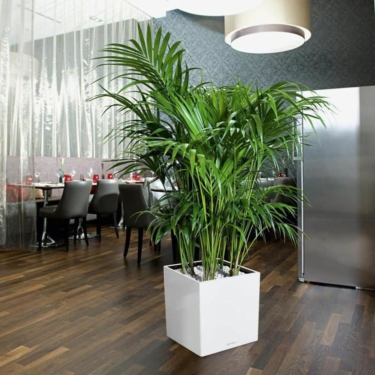 V7HB9B3BFD90DE946061D53BD7FF3301146R7024080P3