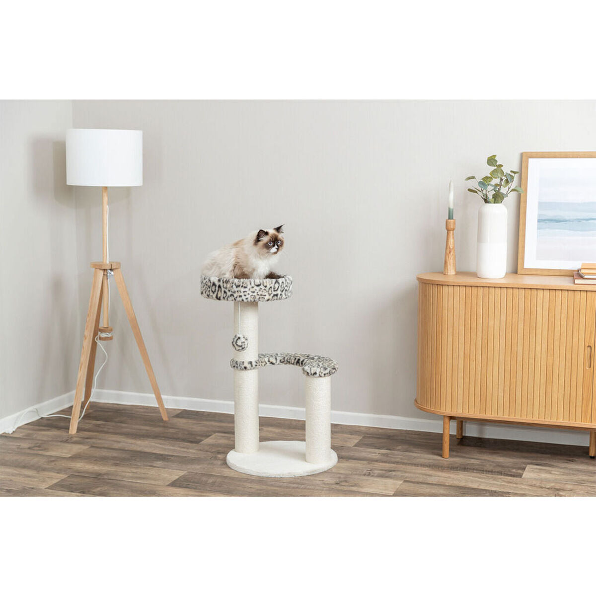 V2H58CD619B2CD590086F33B958015B800CR7428853P5