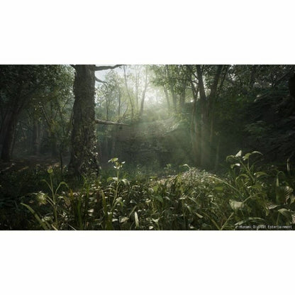 V2HCE056A1CE00F918BEF9AF0E9554FF705R6915943P5