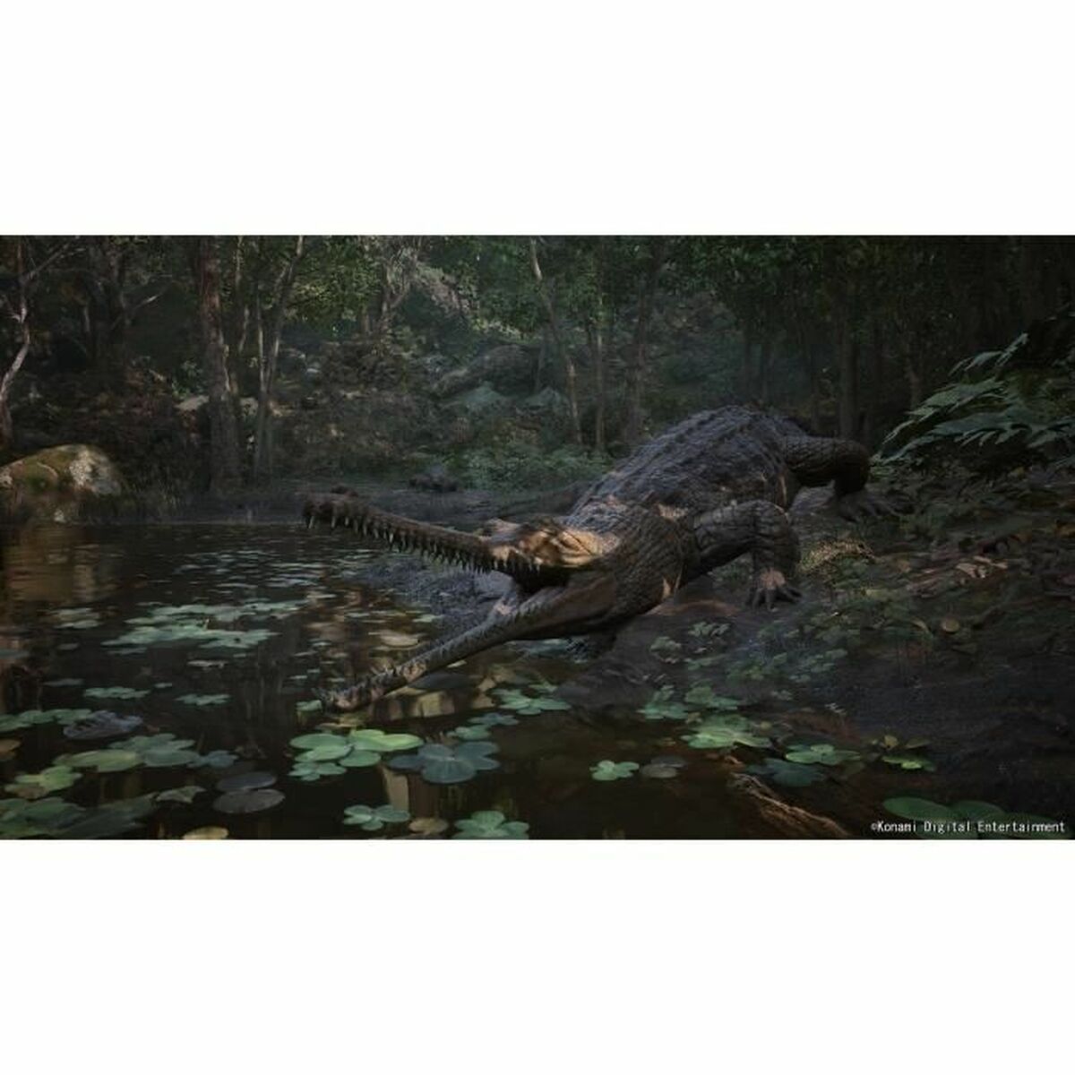 V2HE97DBC7375DD0114F752837D1F5F48CCR6915944P6