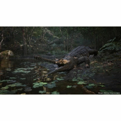 V2H36D6642095E7C12D1F32305A28246865R7049410P6