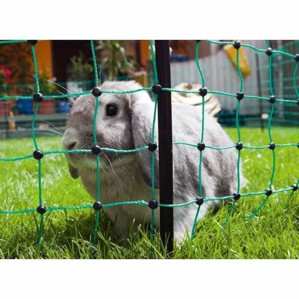 V4H81DDFE00B469871D5CF84B808E64FBEBR7414035P3