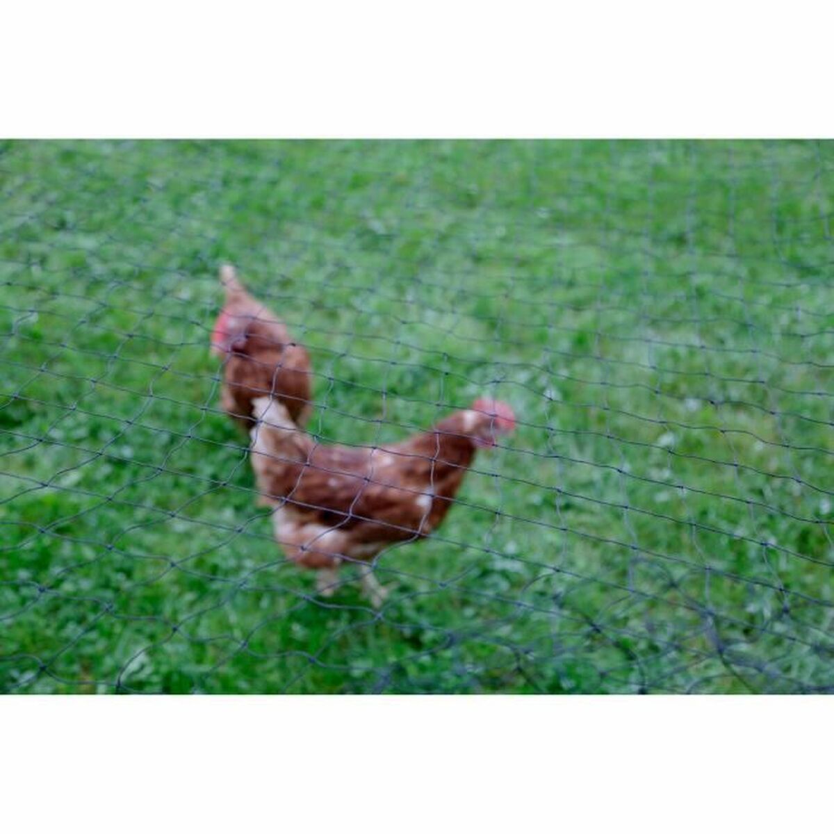 V7HF5EF3303F9EBEBD34F6EF81EB123B6D0R4014814P2