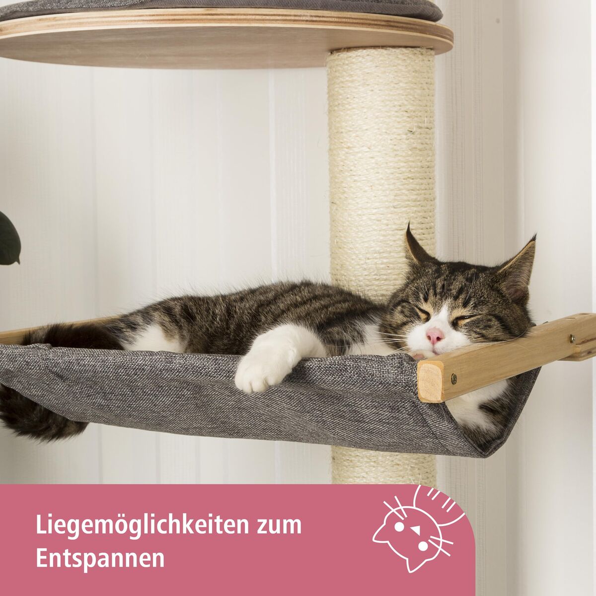 V2HD6F376C397213B6C019D9DD48EC2B98FR7479932P5