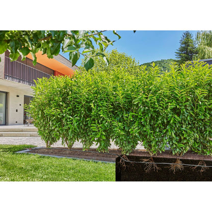 V4HCFC6B2A5B0D2E0D72A33A69905EDC96DR7162853P10