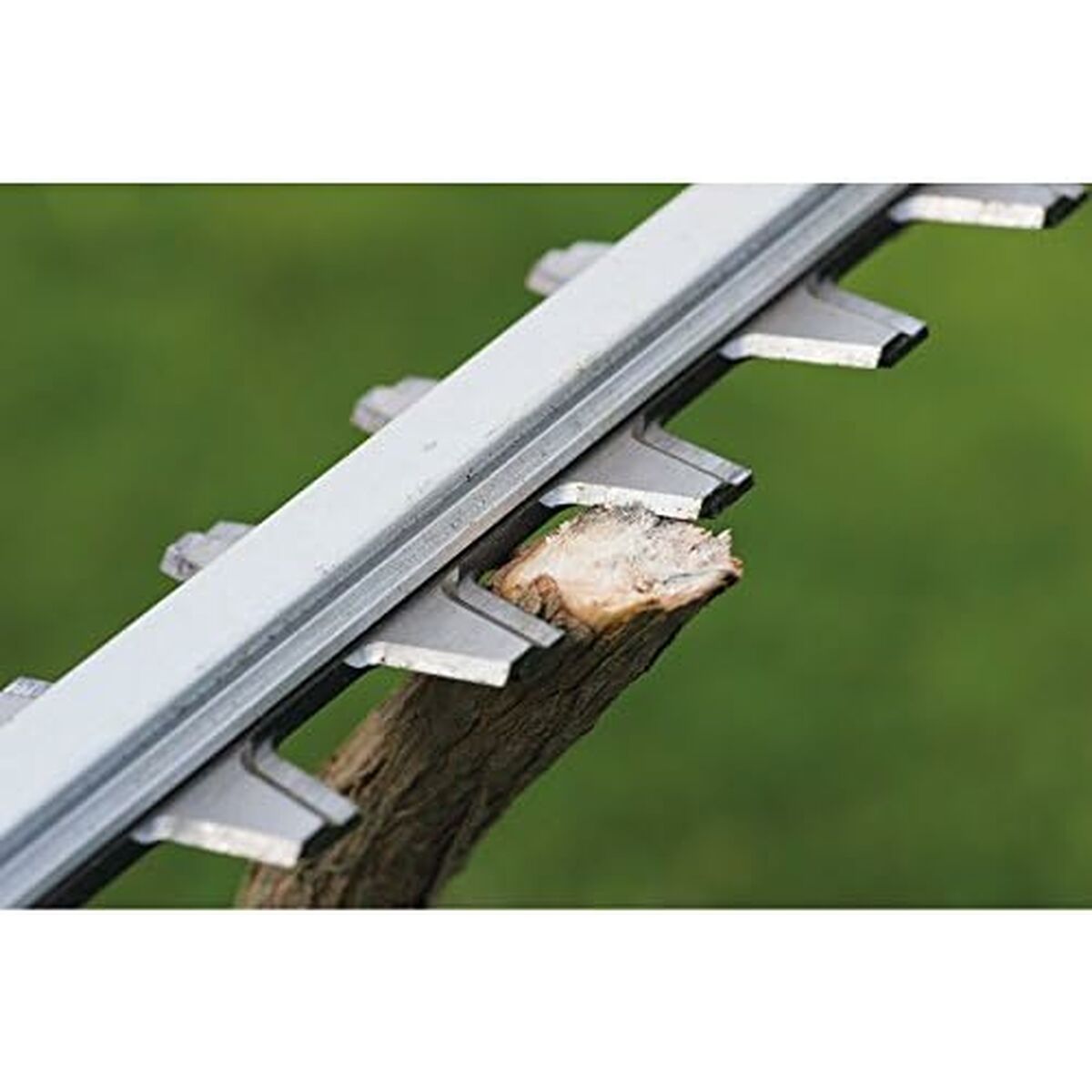 V5H15D4E13C428790F3951B19AF99F83EFER6849354P3