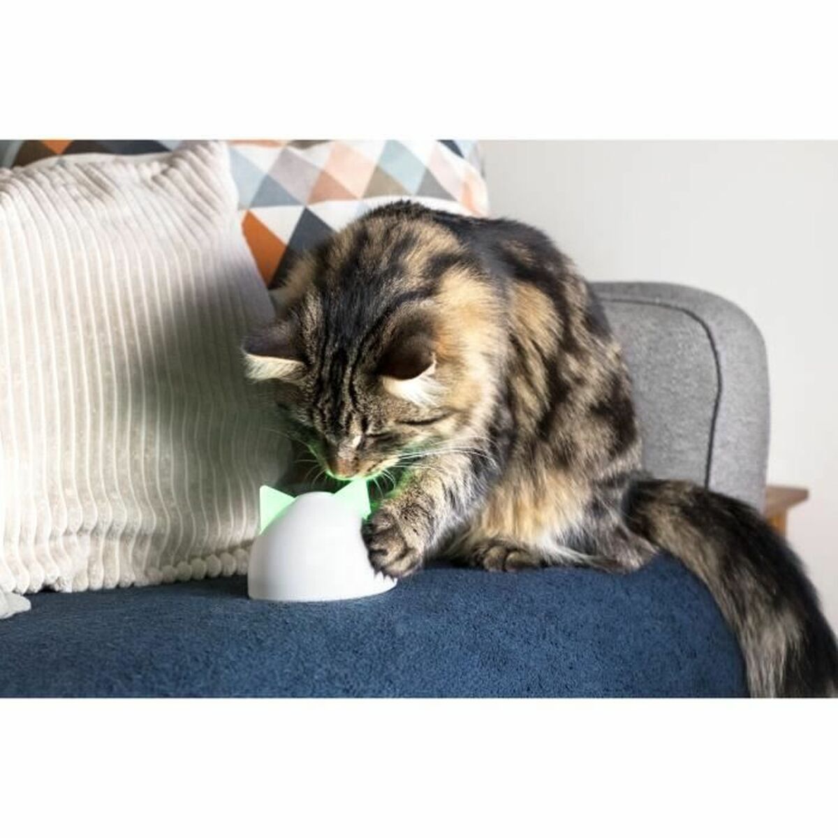 V6H1BDC6716293BC65F4D66B6769804C1FCR5304064P5