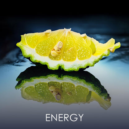 V2H06236B350DF0167F324590D416EA7023R7404076P4