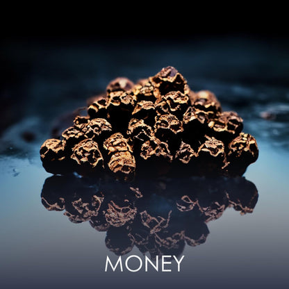 V4H247DF77C828DC58216B81B8E00096F9DR7401129P4