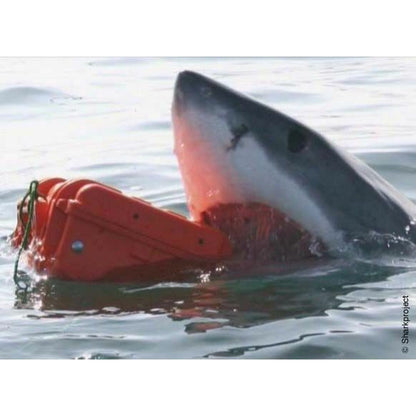 V2H87EC95624924A558270C4CE4E442FFA1R7121724P6