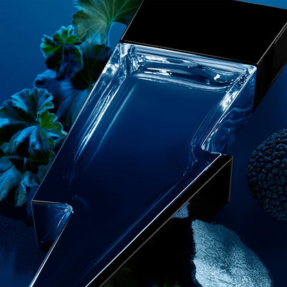 V6HF643BF206A9F465E87B7D505EA28817ER5078030P3