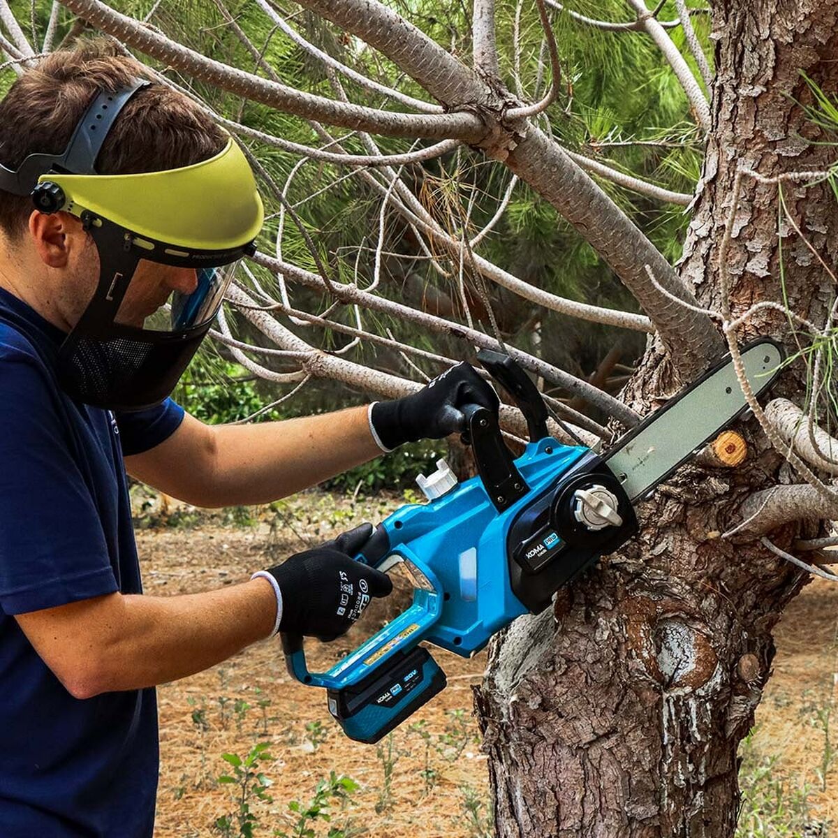 V8H587A9C191C89666C9A5FD23476FDCA6ER5157156P6