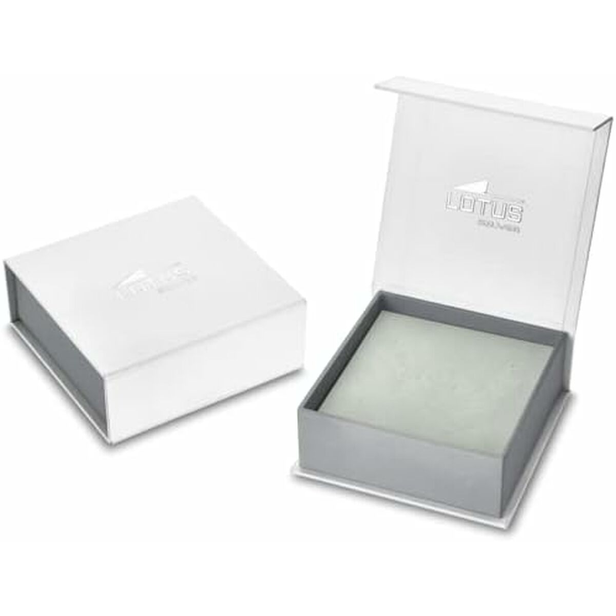 V5H1972E85F61E5BE7CA8F6C7F206478AD4R6187616P2