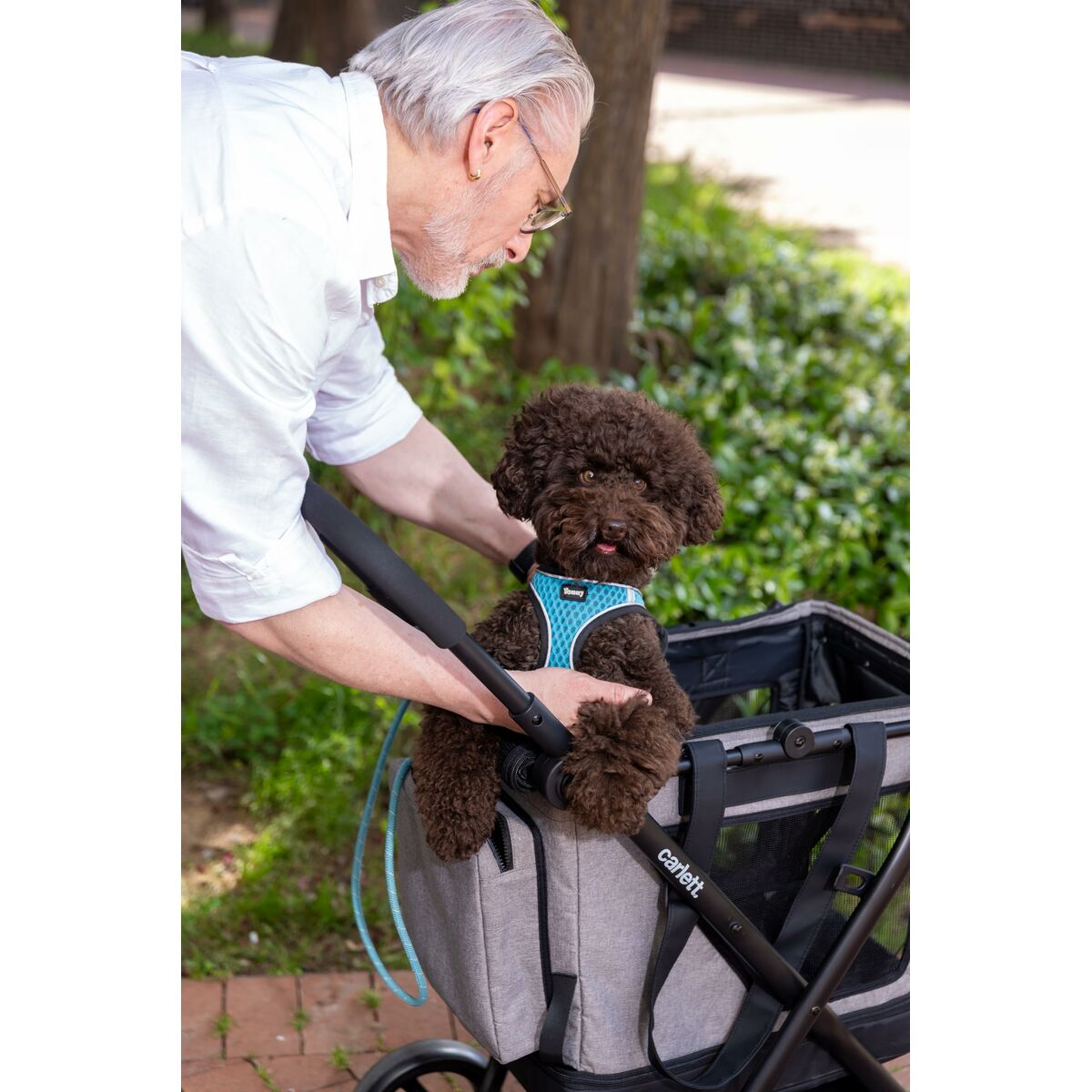 V2H7A630081A22F85A342C38BD4920AF22AR6716266P4